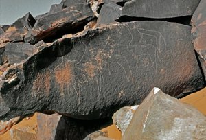 先史時代、ロックアート：牛の表現の墓石。Tazinaスタイル。石器時代紀元前5000-2000年。アルジェリア、ホッグガル高原（アハガル）、タギット