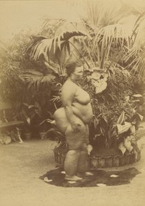 アフリカの女性 作： Prince Roland Napoleon Bonaparte