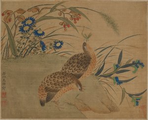 花の下でバッタを食べる2つのウズラ
