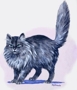 ペルシャ猫、「宝物」より