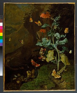 1750年以前の、花、蝶、トカゲの静物画 作： Rachel Ruysch