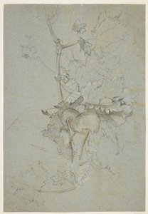 植物研究 作： Rachel Ruysch