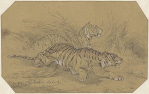 草むらをうろつく二頭の虎 作： Raden Sarief Bastaman Saleh