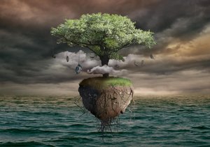 浮かぶ金のなる木の島 作： Radoslav Penchev