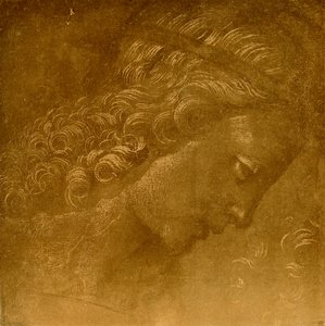 天使の頭に関する研究 作： Raffaellino del Garbo