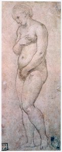 金星の研究、c1500-1520 作： Raffaello Sanzio Raphael