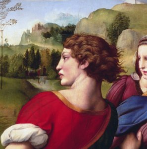 沈着（詳細）、1507 作： Raffaello Sanzio Raphael