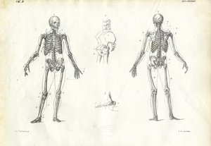 人間、1863-79 作： Raimundo Petraroja