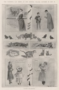 クリスタルパレスでの国立キャットショー、10月29日と30日 作： Ralph Cleaver