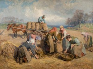 ポテトギャザラー、ノーサンバーランド、1903 作： Ralph Hedley