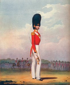 「オフィサー、近衛擲弾兵」、19 世紀、1909 年 作： Ralph Nevill