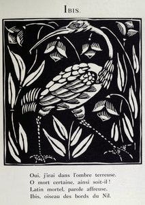 トキ、ギョーム・アポリネール（1880-1918）の「獣戯画」または「オルフェウスの行列」の挿絵、1911年（木版画） 作： Raoul Dufy