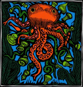 動物学 / 海洋生物 / タコ