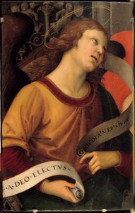 天使。バロンチの祭壇画の断片。ラファエロ・サンツィオ（ラファエロ）（1483-1520）の絵 作： Raphael