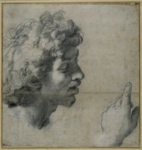 頭と手の研究 作： Raphael