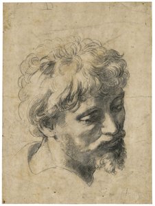 "若い使徒の肖像"（若い使徒の頭部） 紙に木炭 ラファエロ（Raffaello Sanzio）（1483-1520） 個人蔵