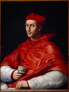 ベルナルド・ドヴィツィ・ダ・ビッビエーナの肖像 作： Raphael