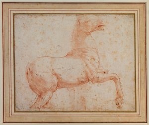 クイリナレの大理石の馬の1頭の研究（スタイラスの兆候の上に赤いチョーク） 作： Raphael