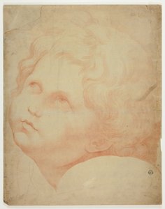 子供の頭、上を向く 作： Raphael