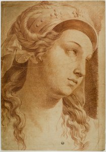 コミティの責任者 作： Raphael