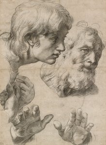 2 人の使徒の頭と手の研究、16 世紀 作： Raphael