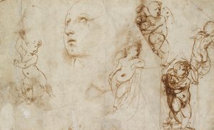 主にボルゲーゼ・ベックフォード聖カタリナのための様々な習作、16世紀初頭 作： Raphael
