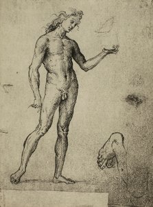 男性のヌード研究;ラファエルの絵。ギャラリーデルアカデミア、ヴェネツィア