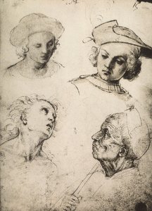 4つの男性の顔の研究。ラファエルの絵。ギャラリーデルアカデミア、ヴェネツィア 作： Raffaello Sanzio Raphael