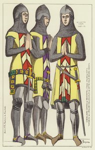 ヌーシャテルの騎士数 作： Raphael Jacquemin