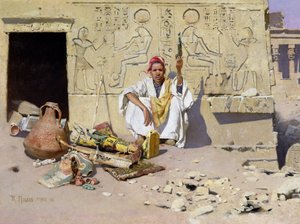不明な画像 作： Raphael von Ambros
