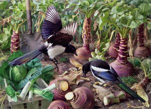 菜園のカササギ（ボード）