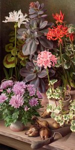 10月の花 作： レイモンド・ブース