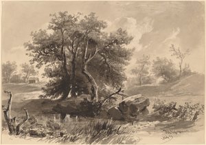 The Trees、ベッドフォード、ニューヨーク 作： Regis Francois Gignoux