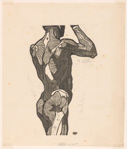 男性の背中と臀部の筋肉の解剖学的研究 作： Reijer Stolk