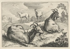 2頭のヤギと2頭の馬のいる風景 Diversa Animalia Quadrupedia (シリーズタイトル) 作： Reinier van Persijn