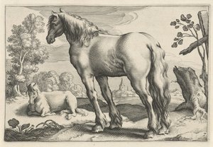2 頭の馬のいる風景 Diversa Animalia Quadrupedia (シリーズタイトル) 作： Reinier van Persijn