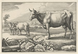 牛のいる牧草地 Diversa Animalia Quadrupedia (シリーズタイトル) 作： Reinier van Persijn