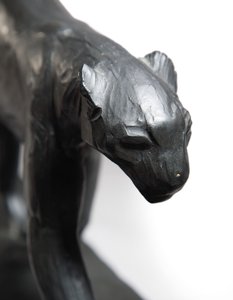 ヒョウの散歩