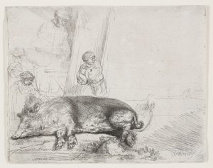 豚 作： Rembrandt van Rijn