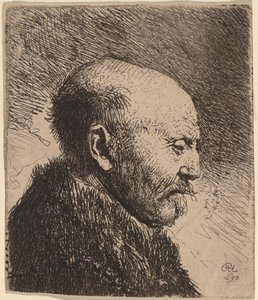 横顔の禿げた男（芸術家の父？） 作： Rembrandt van Rijn