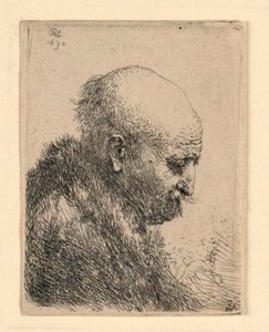 横顔右の禿げ頭の男性: 小さなバスト。 アーティストの父？ 作： Rembrandt van Rijn