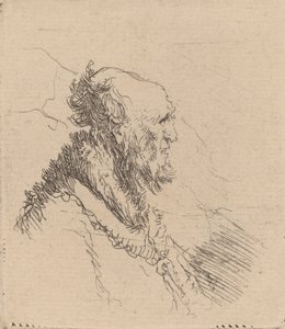 横顔に短いあごひげを生やした禿げた老人、c。 1635年。 作： Rembrandt van Rijn