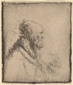 横顔に短いあごひげを生やした禿げた老人、c。 1635年。 作： Rembrandt van Rijn