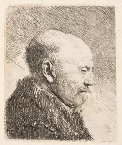 横顔のハゲ男（レンブラントの父親？） 作： Rembrandt van Rijn