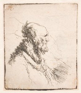 短いあごひげを生やした禿げた老人、横顔右 作： Rembrandt van Rijn