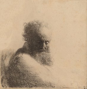 ひげを生やした老人の胸像、見下ろして、右の 4 分の 3、1631 年。 作： Rembrandt van Rijn