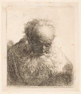  作： Rembrandt van Rijn