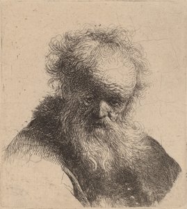 流れるひげと白い袖の老人の胸像、c。 1630年。 作： Rembrandt van Rijn
