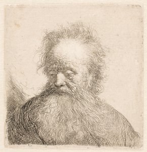  作： Rembrandt van Rijn