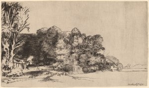 ビスタ付きの木々の群生 作： Rembrandt van Rijn